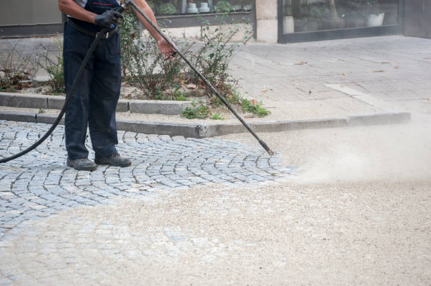 Best Roof Washing  in Mount Olive, AL