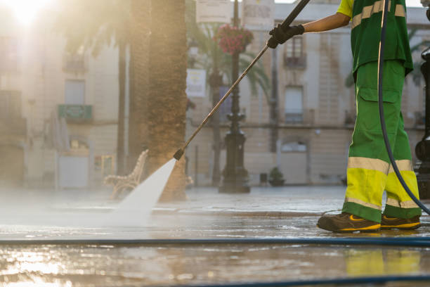 Best Gutter Cleaning  in Mount Olive, AL